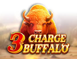 Testimonio de 3 Charge Buffalo